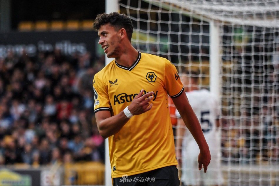 供了新的思 供了新的思